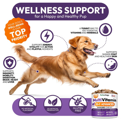 Dog Multivitamin Chewable Vitamins Supplements with Glucosamine 170 Chews Hip